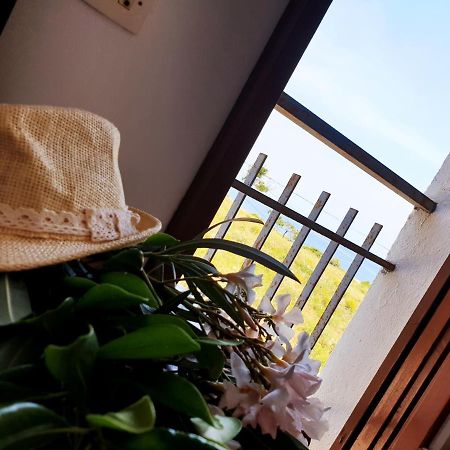 Xaloc, Apartament Amb Vistes A Mar M4 El Port De La Selva Екстериор снимка